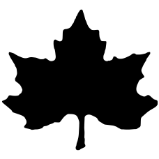 parkpictures.com icon