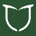 parkpiolets.com icon