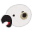 parrottalks.com icon