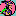 parrotwizard.com icon