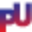 paruluniversity.online icon