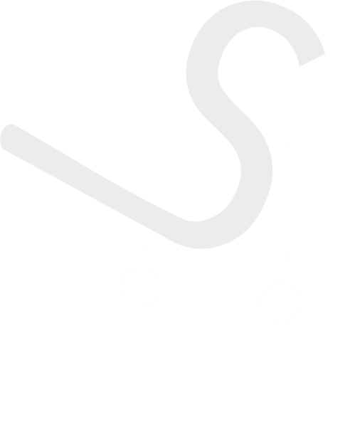 parvisio.com icon