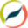 pasalix.com.br icon