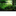 pascalaquariumsnaturels.com icon