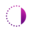 pascalvision.com icon
