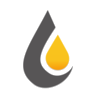 paseaog.com icon