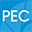 passengerexperienceconference.com icon