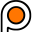 passja.pl icon