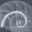 pathbuilders.com icon