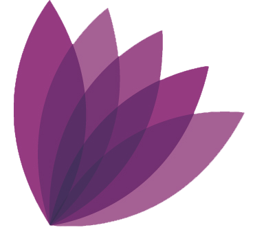 pathsoftware.com icon