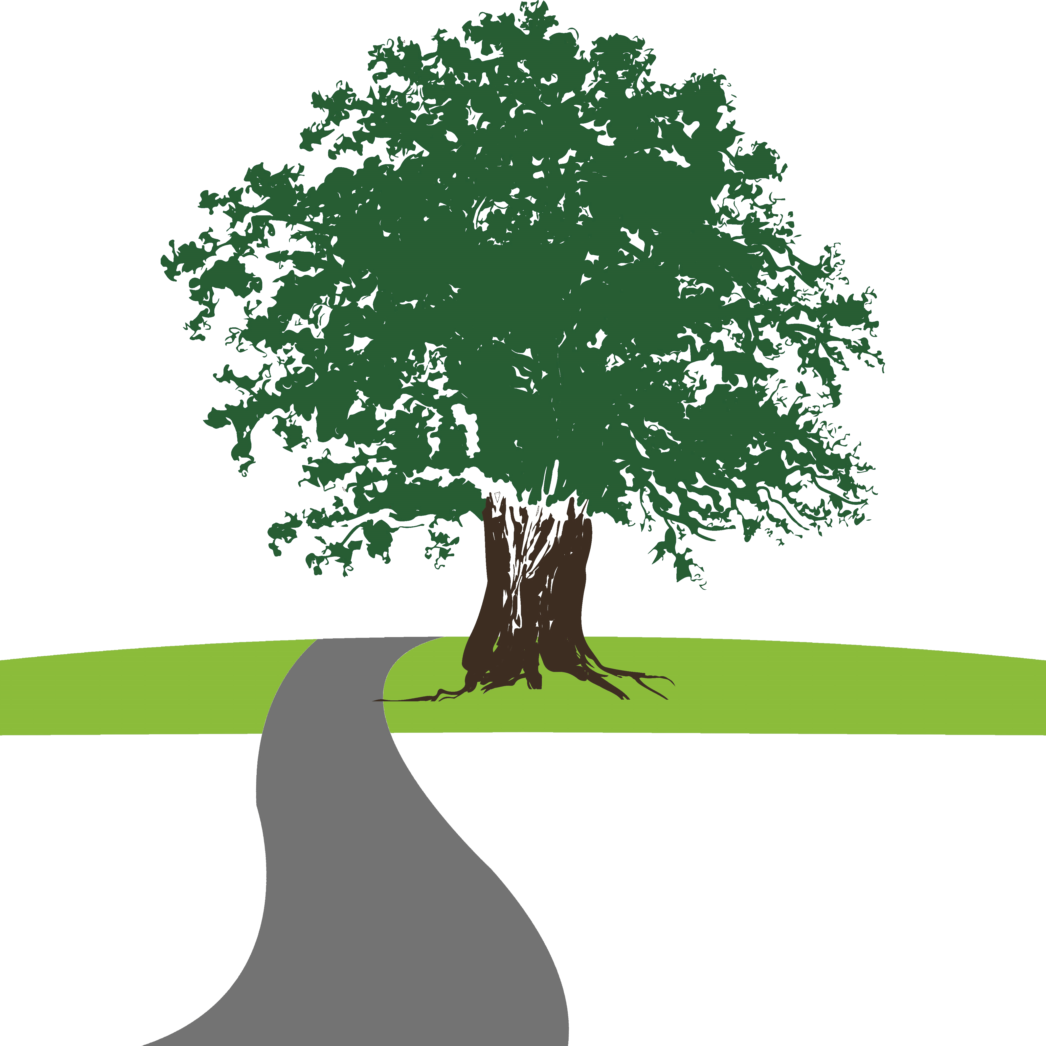 pathwayswebdesign.com icon