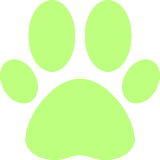 patiilan.com icon