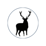 Patronus logo