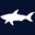 paulandshark.com icon