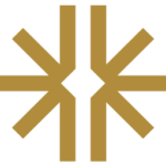 pavion.com logo