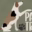 paws-ontraining.co.uk icon