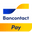 payconiqbybancontact.app icon
