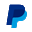 paypal.biz icon