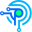 payproapp.com icon