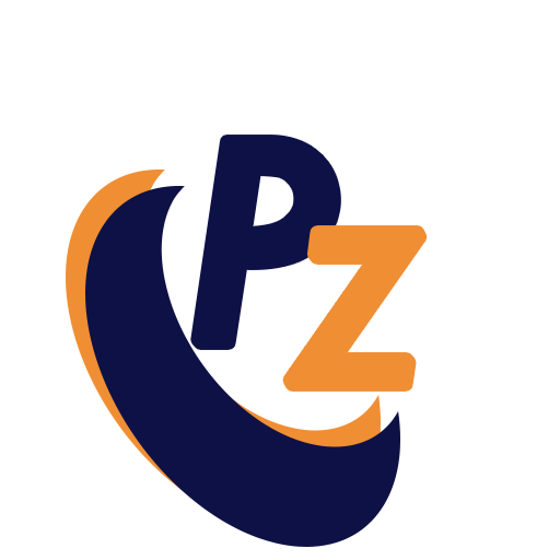 payzyapp.com icon