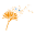 pbccaribbean.com icon