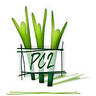 Pc2online logo