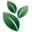 pcbomen.nl icon