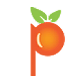 peachtreerestorations.com icon
