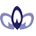 peacockcreative.net icon
