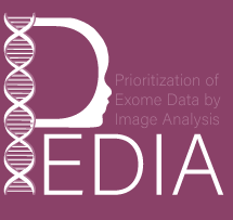 pedia-study.org icon