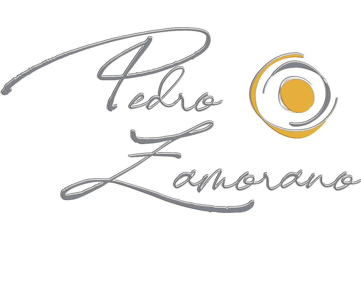 pedrozamorano.es icon