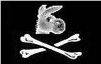 peerates.net icon