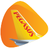 Pegasus Airlines
