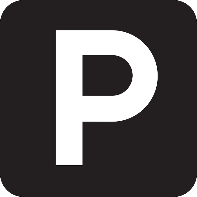 pelisplushd.bz icon