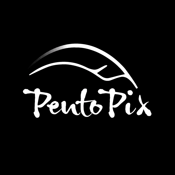 PentoPix logo