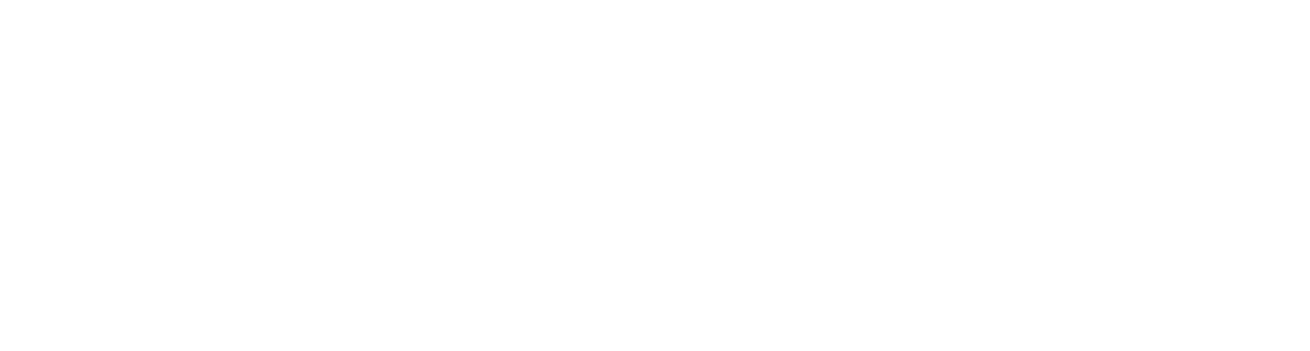 peopleinput.com icon
