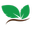 pepinieramizil.ro icon