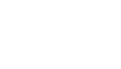 perfectlyoptimized.com icon