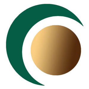 peritosinformaticos.es icon
