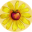 permaculturewomen.com icon