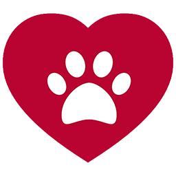 perrogatoland.com icon