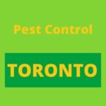 pestcontroltoronto.com icon