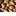 petespecans.com icon