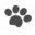 Petistra logo