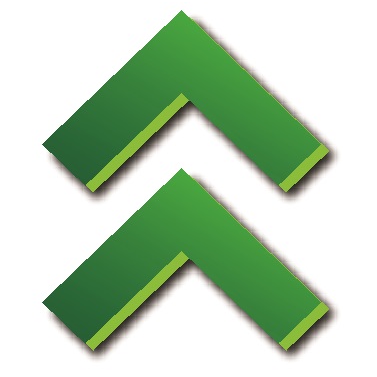PF Gruppen logo