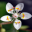 pflanzen-lernen.ch icon
