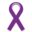 pghrecoverywalk.org icon