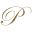 pgp.rs icon