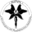 phantastische-akademie.de icon