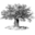 philanthropydaily.com icon